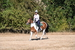 WJ6_7730