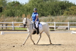 SBM_003241