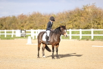 SBM_000990
