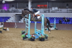 SBM_009189