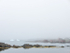 TILTING IN FOG - FOGO ISLAND