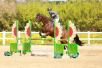 SBM_001656