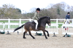 SBM_007415