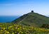 Rame Head