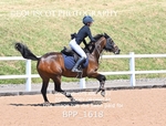 BPP_1618