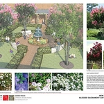 Mary Garden - Landscape