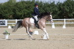 SBM_020937