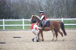 SBM_003777