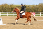 SBM_000980