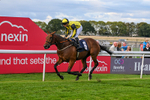 160926-Race 8-Evelyns Phoenix-2219