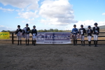 SBM_008335
