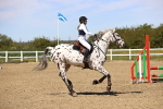 SBM_002215