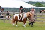 SBM_08090