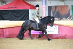 SBM_11799