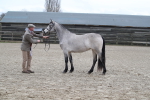 SBM_004002