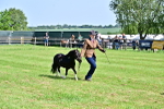SBM_03475