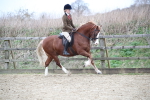 SBM_006341