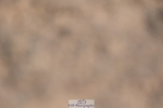 230811-145456-02162