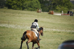 BVHT 140517  IXC -177