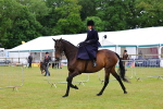 SBM_02734