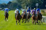 050926-Race 1-Prince Kameo-1