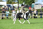 SBM_51963