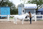 SBM_00232