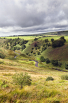Barle Valley Sunlight