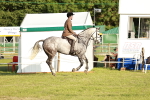 SBM_20456