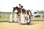 SBM_003886