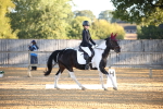 SBM_14590