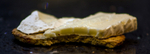 18Mar2013: Photo 77