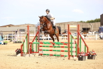 SBM_002434