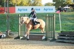 SBM_15016
