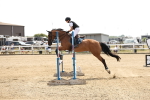 SBM_001690