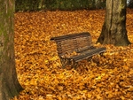 Cinquantenaire Park - November 2012