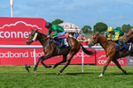 Race 3 15.15pm Ward Homes Yorkshire 10th Anniversary Handicap portfolio
