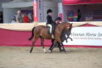 SBM_02087
