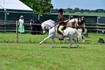 SBM_07782