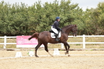 SBM_002951