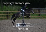 BPP_8491