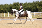 SBM_009237