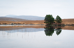 Reflections, Meenlecknalore Lough, Co Donegal