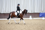 SBM_001618