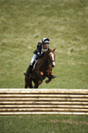 BVHT 140517  IXC -381