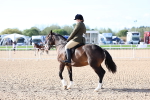 SBM_08920