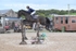 BPP_3335