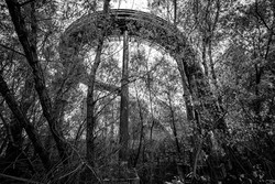 Abandoned Six Flags (New Orleans, LA) | Prehistoric Serpent