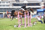 BPP_6970