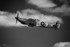 Spitfire